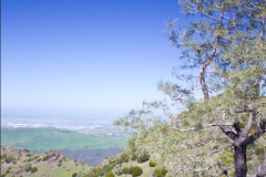 Mt Diablo Hike